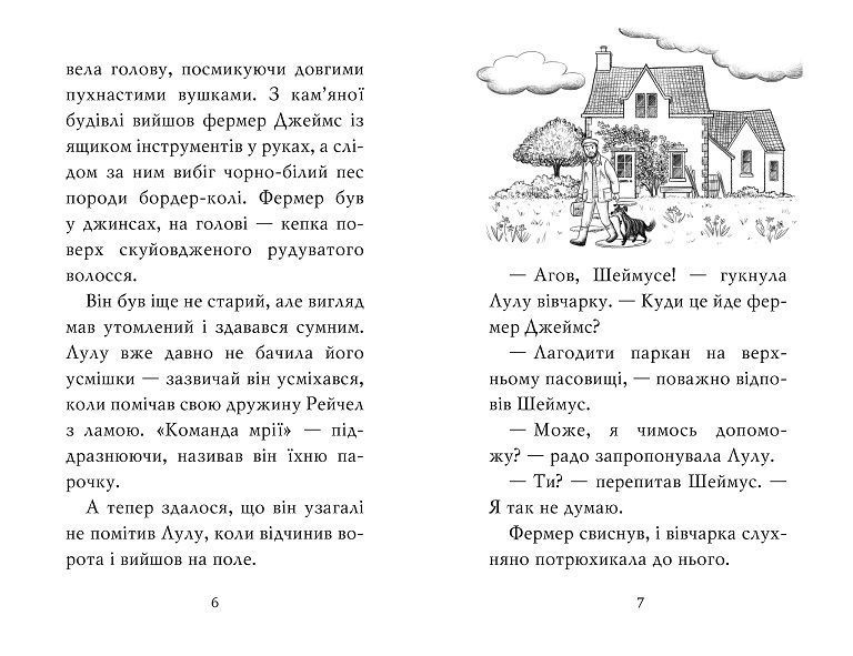 Лама подружка нареченої Книга 1 978-617-8280-37-6 фото