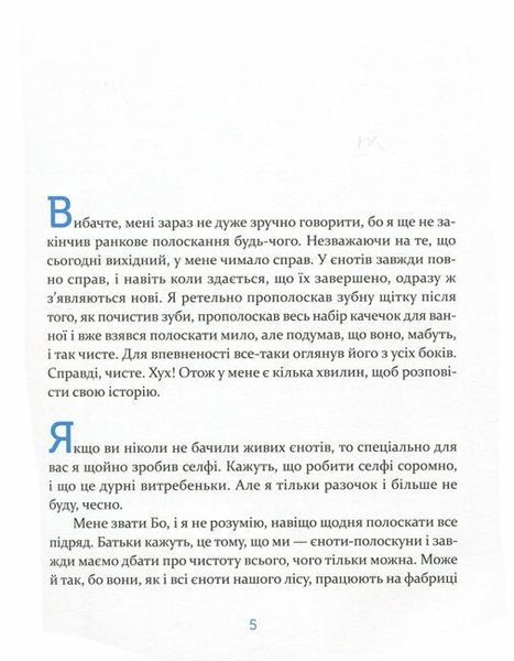 Єнотик Бо і повітряна куля. Книга 1 9786176795674 фото
